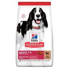 Hills Science Plan Adult Medium Lamb & Rice (Хилс Едалт Медиум) 800 грамм