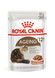 Royal Canin Ageing 12+ Gravy (Рояль Канін Ейджинг 12 + соус) 85 грамів