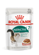 Royal Canin Instinctive 7+ Gravy (Роял Канин Инстинктив соус 7+) 85 грамм