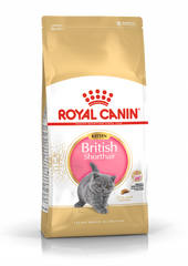 Royal Canin British Shorthair Kitten (Рояль Канін Британець кітен) 400 грамів
