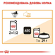 Royal Canin Intense Beauty Gravy (Рояль Канін Інтенс шматочки в соусі) 85 грамів